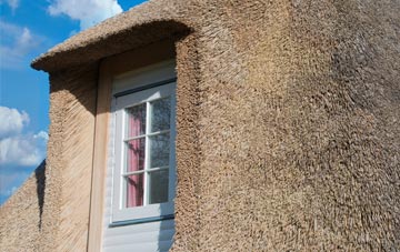 Elmstone thatch roof disadvantages
